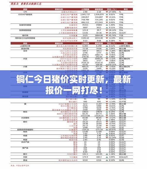 銅仁今日豬價(jià)實(shí)時(shí)更新，最新報(bào)價(jià)一網(wǎng)打盡！