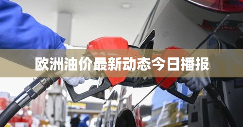 貴不可言 第3頁(yè)