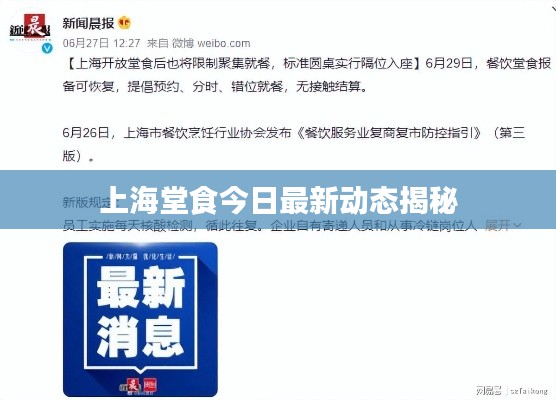 上海堂食今日最新動態(tài)揭秘