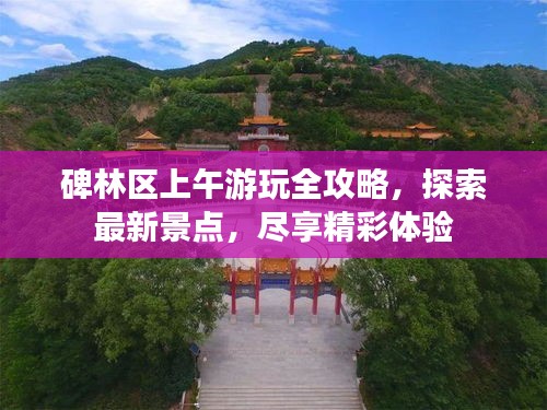碑林區(qū)上午游玩全攻略，探索最新景點(diǎn)，盡享精彩體驗(yàn)