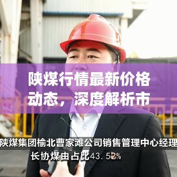陜煤行情最新價格動態(tài)，深度解析市場走勢與影響因素