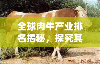 全球肉牛產(chǎn)業(yè)排名揭秘，探究其在世界畜牧業(yè)中的顯赫地位