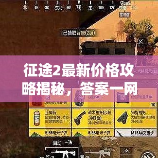 征途2最新價(jià)格攻略揭秘，答案一網(wǎng)打盡