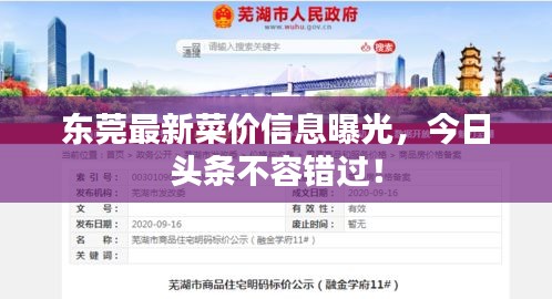 東莞最新菜價信息曝光，今日頭條不容錯過！