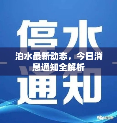 泊水最新動(dòng)態(tài)，今日消息通知全解析