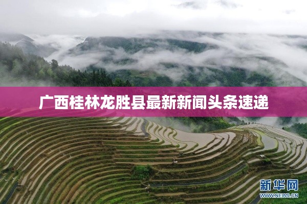 廣西桂林龍勝縣最新新聞?lì)^條速遞