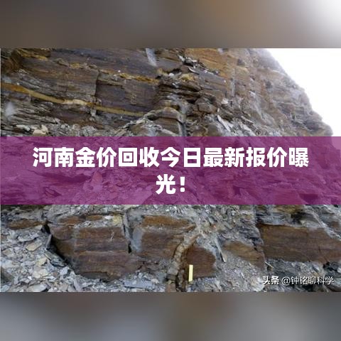 河南金價(jià)回收今日最新報(bào)價(jià)曝光！