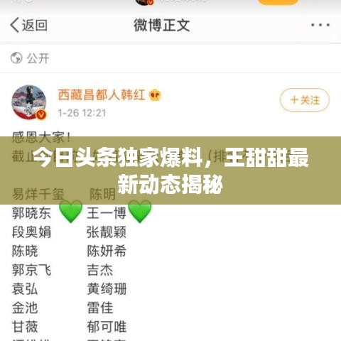 今日頭條獨(dú)家爆料，王甜甜最新動(dòng)態(tài)揭秘