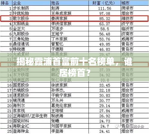 揭秘霞浦首富前十名榜單，誰居榜首？