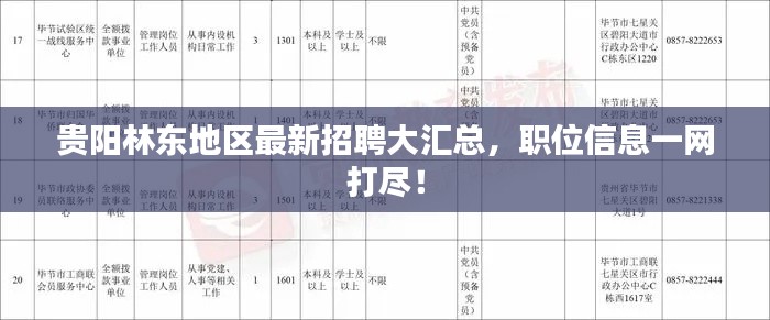 貴陽林東地區(qū)最新招聘大匯總，職位信息一網(wǎng)打盡！