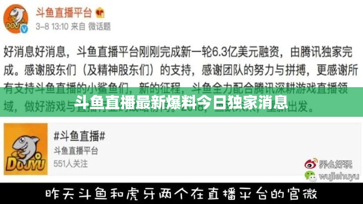 騰龍換鳥 第3頁