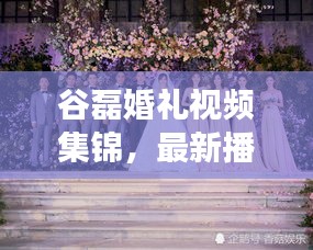 谷磊婚禮視頻集錦，最新播放大全，甜蜜瞬間一網(wǎng)打盡！