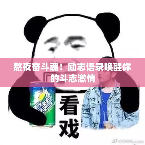 熬夜奮斗魂！勵(lì)志語錄喚醒你的斗志激情