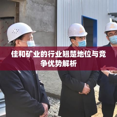 佳和礦業(yè)的行業(yè)翹楚地位與競(jìng)爭(zhēng)優(yōu)勢(shì)解析