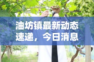 油坊鎮(zhèn)最新動(dòng)態(tài)速遞，今日消息一網(wǎng)打盡！