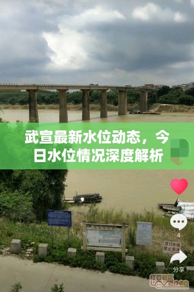 武宣最新水位動態(tài)，今日水位情況深度解析