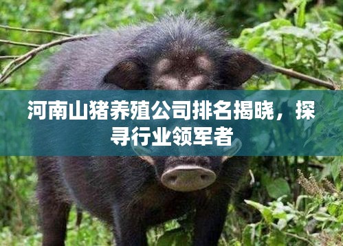 烏鳥之情 第3頁