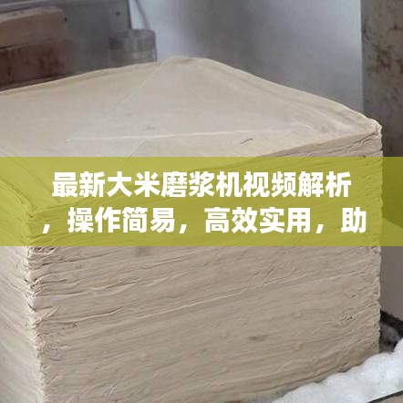 最新大米磨漿機視頻解析，操作簡易，高效實用，助你輕松制作美味米漿！