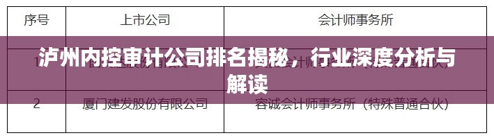 瀘州內(nèi)控審計公司排名揭秘，行業(yè)深度分析與解讀