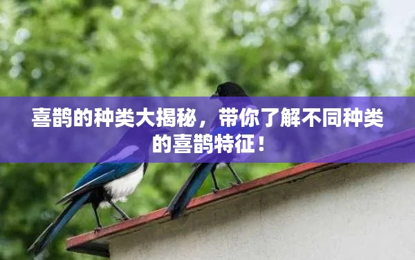 盡心竭力 第3頁(yè)