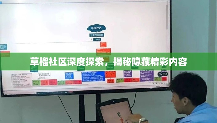 草榴社區(qū)深度探索，揭秘隱藏精彩內(nèi)容