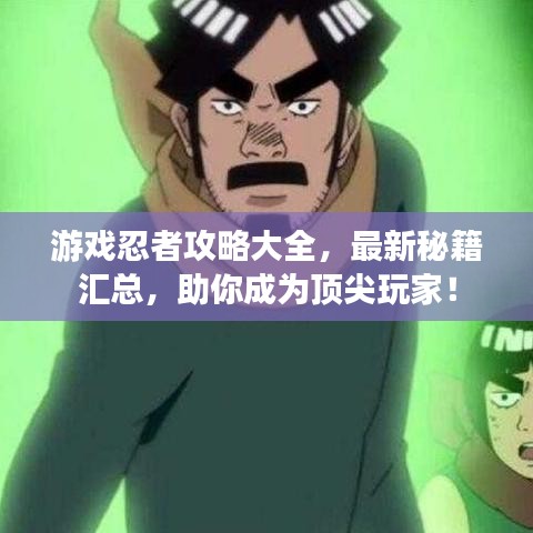 游戲忍者攻略大全，最新秘籍匯總，助你成為頂尖玩家！