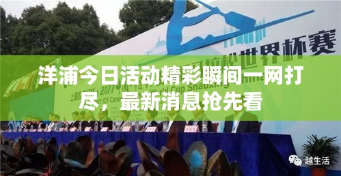 洋浦今日活動精彩瞬間一網(wǎng)打盡，最新消息搶先看