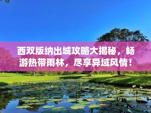 西雙版納出城攻略大揭秘，暢游熱帶雨林，盡享異域風(fēng)情！
