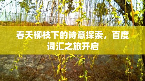 春天柳枝下的詩意探索，百度詞匯之旅開啟