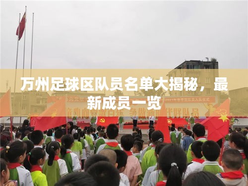 萬州足球區(qū)隊(duì)員名單大揭秘，最新成員一覽