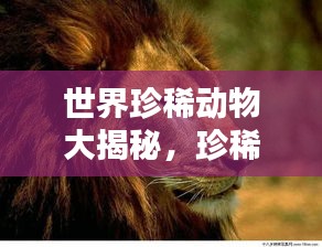 世界珍稀動(dòng)物大揭秘，珍稀動(dòng)物榜單TOP未知，驚艷你的眼球！