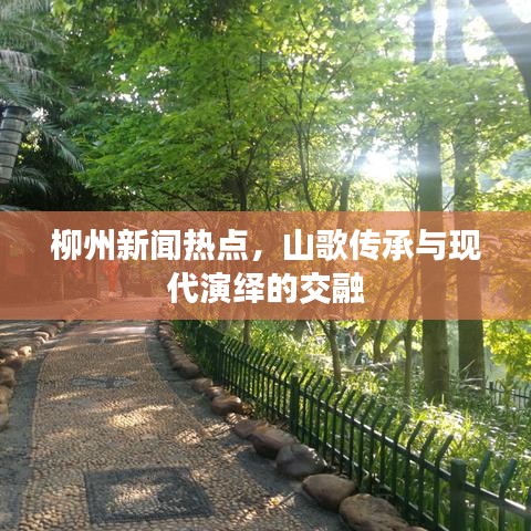 柳州新聞熱點(diǎn)，山歌傳承與現(xiàn)代演繹的交融
