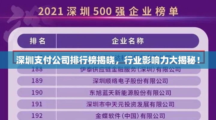 深圳支付公司排行榜揭曉，行業(yè)影響力大揭秘！