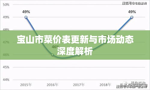 寶山市菜價(jià)表更新與市場(chǎng)動(dòng)態(tài)深度解析