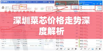深圳菜芯價格走勢深度解析