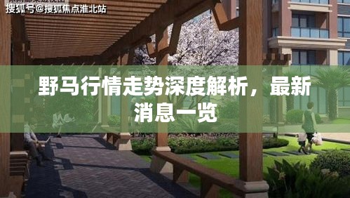 野馬行情走勢深度解析，最新消息一覽