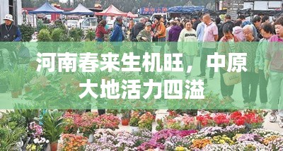 河南春來生機旺，中原大地活力四溢