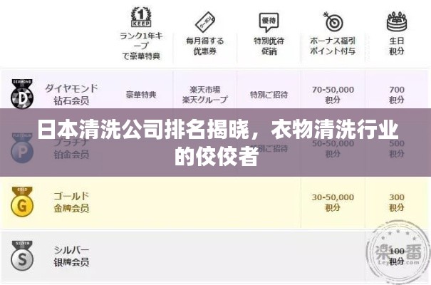 日本清洗公司排名揭曉，衣物清洗行業(yè)的佼佼者