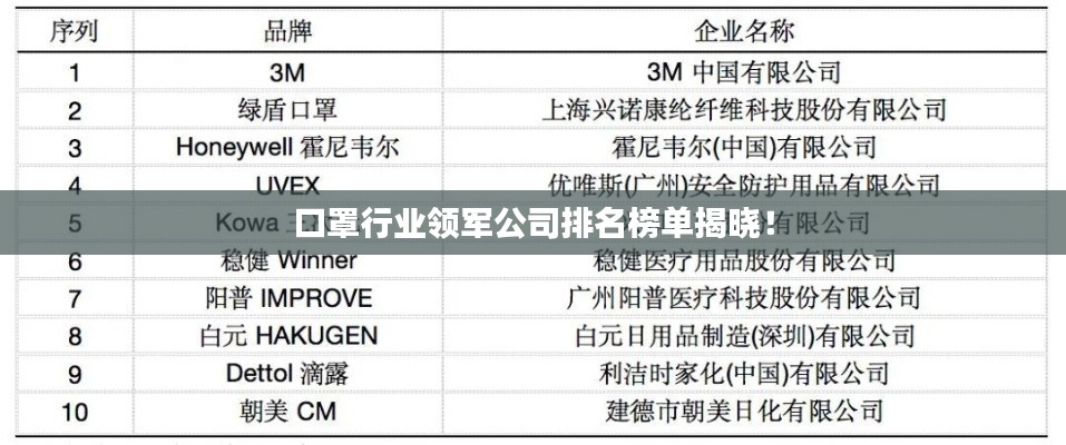 口罩行業(yè)領(lǐng)軍公司排名榜單揭曉！