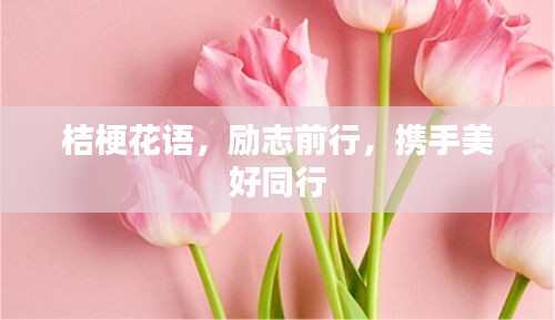 桔?；ㄕZ(yǔ)，勵(lì)志前行，攜手美好同行
