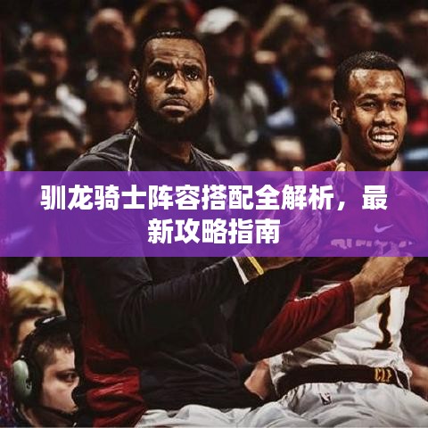 馴龍騎士陣容搭配全解析，最新攻略指南