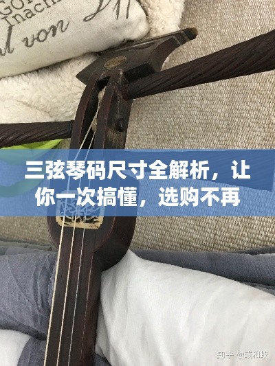 三弦琴碼尺寸全解析，讓你一次搞懂，選購不再迷茫！