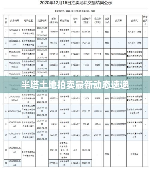 半塔土地拍賣最新動(dòng)態(tài)速遞