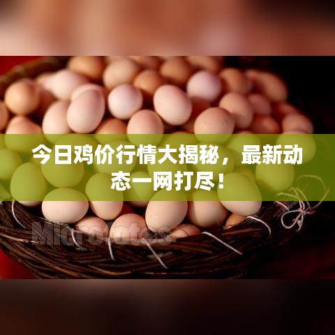 矯枉過(guò)正 第2頁(yè)