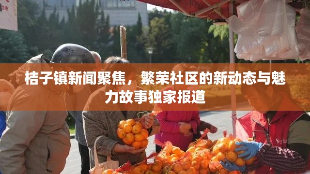 桔子鎮(zhèn)新聞聚焦，繁榮社區(qū)的新動(dòng)態(tài)與魅力故事獨(dú)家報(bào)道