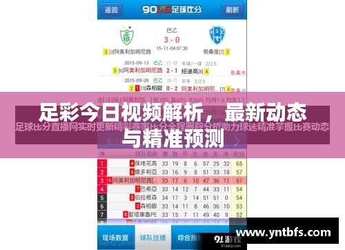 足彩今日視頻解析，最新動態(tài)與精準(zhǔn)預(yù)測