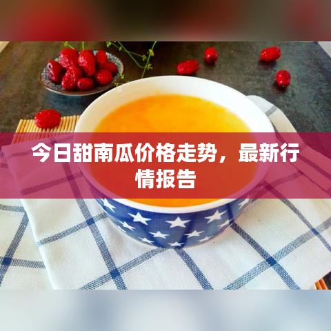 今日甜南瓜價格走勢，最新行情報告