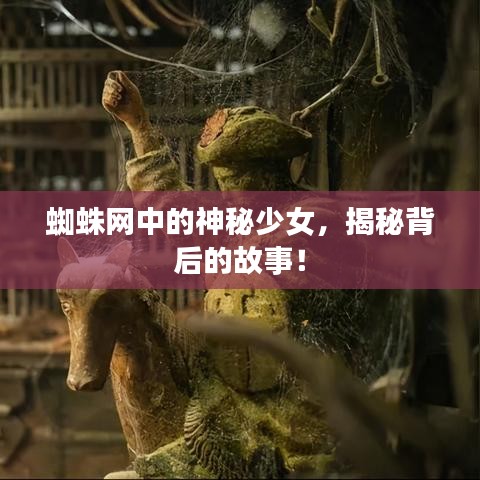 蜘蛛網(wǎng)中的神秘少女，揭秘背后的故事！