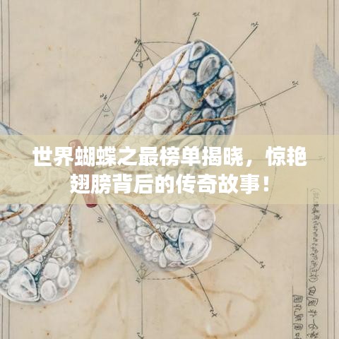 世界蝴蝶之最榜單揭曉，驚艷翅膀背后的傳奇故事！