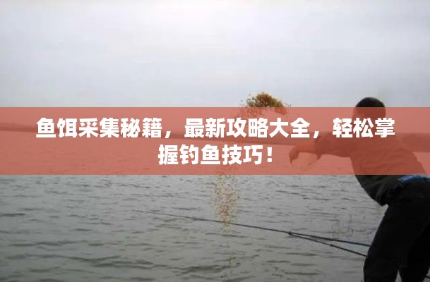 魚餌采集秘籍，最新攻略大全，輕松掌握釣魚技巧！